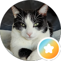 Erick A M Google profile picture